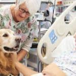 Accurate and fast: Dogs can sniff out COVID-19 positive cases after only 4 days of training