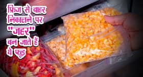 फ्रिज से बाहर निकालने पर 'जहर' बन जाते हैं ये 3 फूड, करें ये 2 काम नहीं पड़ेंगे खाने के बाद बीमार