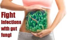 Gut fungi: Intestinal vaccine against fungal infections