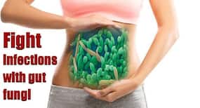 Gut fungi: Intestinal vaccine against fungal infections