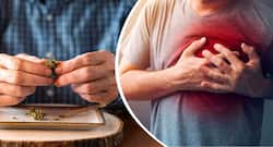 Alcohol, cannabis can raise risk of premature heart disease in youngsters