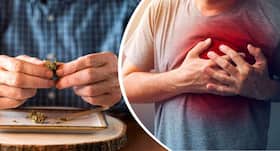 Alcohol, cannabis can raise risk of premature heart disease in youngsters Alcohol, cannabis can raise risk of premature heart disease in youngsters