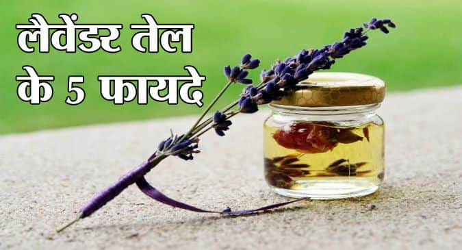 lavendor oil benefits in hindi