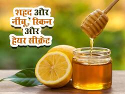 शहद और नींबू 'हर' लेगा आपकी स्किन और बालों से जुड़ा हर एक रोग, जानें किन बीमारियों में फायदेमंद
