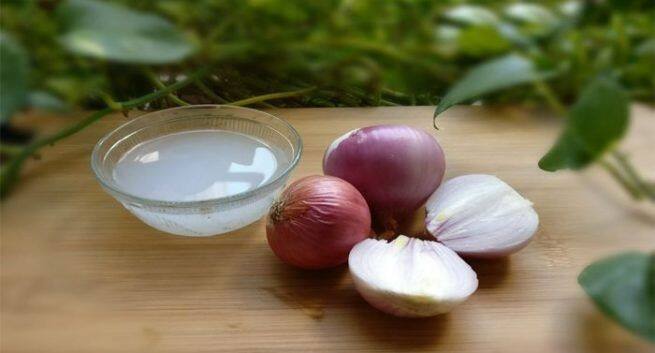 onion juice
