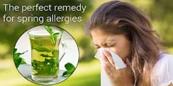 spring allergies, seasonal allergies, home remedy for allergy, pudina leaves, mint leaves, health benefits of pudina, health benefits of mint leaves