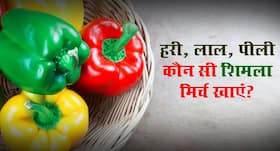 हरी नहीं लाल शिमला मिर्च खाएं शरीर को मिलेंगे अधिक पोषक तत्व, जानें 5 बड़े अंतर