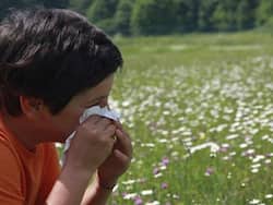 Protect yourself: High airborne pollen concentrations ups risk of COVID-19 infection