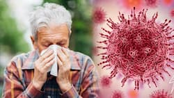 COVID-19: Older people more prone to reinfection, unusual coronavirus symptoms to look out for