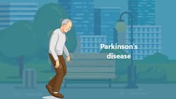 Energy deficiency may increase your risk of Parkinson's disease