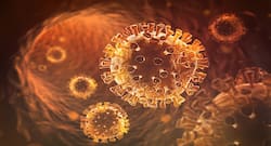 SARS-CoV-2 evolved naturally and it’s far more widespread than previously believed