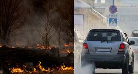 Wildfire smoke several times more harmful to human health than car exhaust: Experts