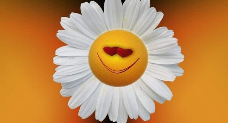 Happy Hormones: इंसान के खुश रहने के पीछे इन 5 हार्मोन की होती है खास भूमिका, जानिए 'हैप्‍पी हार्मोन' को एक्टिव रखने के उपाय