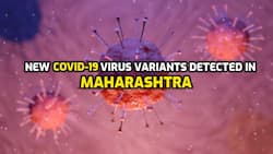 COVID-19: New virus variants with double mutation detected in Maharashtra - Are you safe?