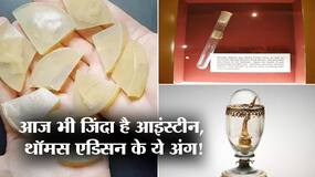 अल्बर्ट आइंस्टीन के दिमाग से लेकर थॉमस एडिसन की आखिरी सांस तक, आज भी जिंदा हैं ये 3 चीजेंः तस्वीरों में देखें चमत्कार