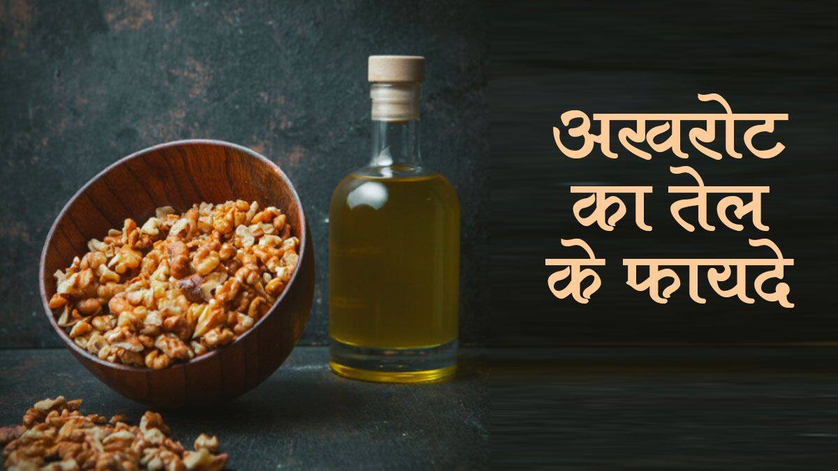 Walnut Oil Benefits In Hindi त्‍वचा रोगों में फायदेमंद है अखरोट का