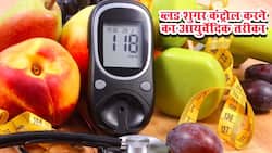 Ayurveda For Diabetes: आयुर्वेद के मुताबिक कैसा होना चाहिए मधुमेह में आपका खानपान? एक्सपर्ट से सीखें ब्लड शुगर कंट्रोल करने के परफेक्ट टिप्स