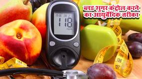 Ayurveda For Diabetes: आयुर्वेद के मुताबिक कैसा होना चाहिए मधुमेह में आपका खानपान? एक्सपर्ट से सीखें ब्लड शुगर कंट्रोल करने के परफेक्ट टिप्स