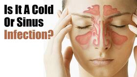 Sinus Vs Common cold: Here's how to spot the difference between the two