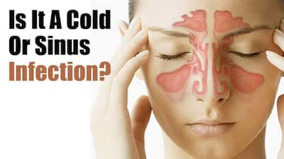 Is it sinus or common cold: Here's how to know what you are suffering ...