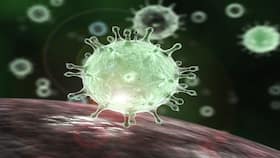 Coronavirus in India update: भारत में पाया गया डबल म्यूटेंट कोविड वेरिएंट ।