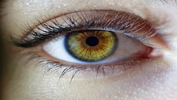 Beware! Visual impairment may put you at higher risk of death