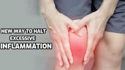 Suffering from chronic inflammation? Study finds new way to put brakes on excessive inflammation