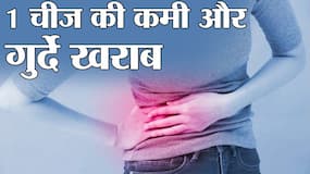 हेल्दी हों या बॉडीबिल्डर शरीर में इस 1 चीज की कमी खराब कर सकती है आपके गुर्दे, एक्सपर्ट टिप्स से ठीक रखें अपने किडनी