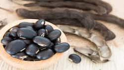 कौंच के बीज के नुकसान, सेवन का सही तरीका