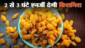 raisin in hindi: स्पोर्टसमैन हैं? मुठ्ठीभर इस काली चीज का सेवन आपको 3 घंटे तक रखेगा एनर्जेटिक, बस ज्यादा न खाएं raisin in hindi: स्पोर्टसमैन हैं? मुठ्ठीभर इस काली चीज का सेवन आपको 3 घंटे तक रखेगा एनर्जेटिक, बस ज्यादा न खाएं