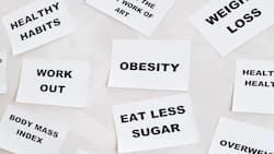 World Obesity Day: Expert decodes the right way to address the epidemic