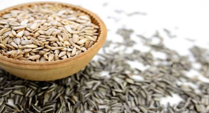 Sunflower Seeds Side Effects: सूरजमुखी के बीजों का अधिक सेवन किडनी को पहुंचाता है नुकसान, हो जाएंगी ये 6 समस्याएं