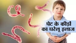 Worms in Kids Stomach : बच्‍चों के पेट में कीड़ों को तुरंत मारेंगे ये 3 नुस्‍खे