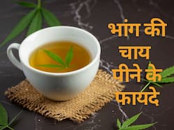 चिंता-तनाव से छुटकारा दिलाती है भांग की चाय, छूमंतर हो जाता है शरीर का सारा दर्द