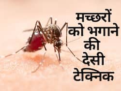 घर में छिपे एक-एक मच्‍छरों को बाहर निकाल देंगे ये 6 देसी टेक्निक