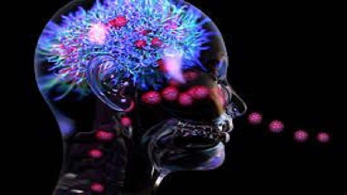 Innovations In Brain Research: Advancements In Understanding The Mind - Vimarsana News