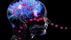 Brain damage from COVID-19 infection is a reality even in absence of virus in the brain