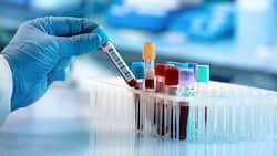 Promising Blood Test Can Help Treat Depression, Bipolar Disorder: Everything You Need To Know