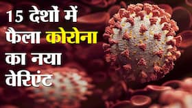 corona new variant news: 15 देशों में फैल चुका है कोरोना का पहले से ज्यादा घातक वाला वेरिएंट, शोधकर्ता इस कैल्कुलेटर की मदद से लगा रहे हैं नए वेरिएंट का पता
