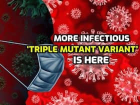 Triple Mutant COVID-19 Strain Found In West Bengal: How Bad Is It? Everything You Need To Know
