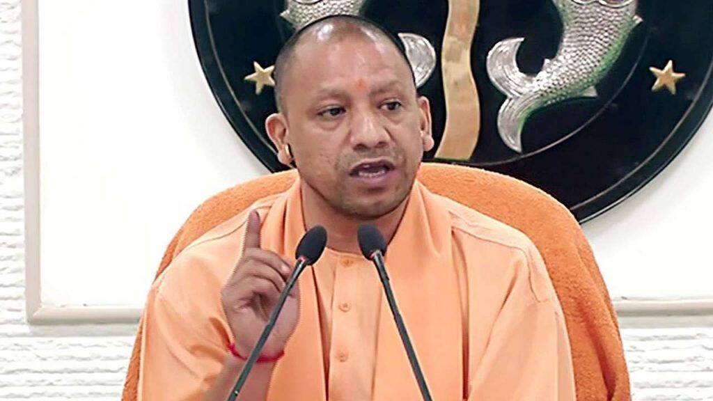 yogi