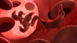 शरीर में खून की कमी होने से नुकसान