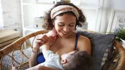 Breastfeeding Can Prevent Build-up Of Visceral, Pericardial Fat: Lower Risk Of Cardiovascular Diseases