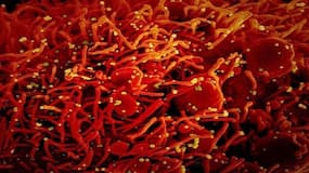 New sweat sensor can alert impending COVID-19 cytokine storm, help save lives