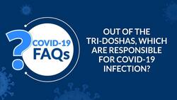 Out of the tri-doshas, which are responsible for COVID-19 infection?