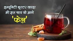 Immunity Booster Chai in hindi : इम्यूनिटी बूस्ट करने वाला काढ़ा भी इस चाय के आगे है फेल ! इम्यूनिटी बूस्ट करने से लेकर सर्दी-फ्लू को रखती है दूर