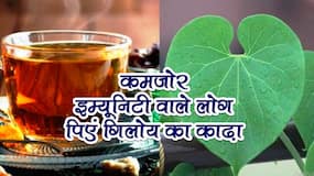 Giloy Kadha For immunity in hindi : कमजोर इम्यूनिटी वाले लोग घर पर बनाएं गिलोय का काढ़ा और जूस, जानें दिन में कितनी मात्रा पीने से बूस्ट होगी इम्यूनिटी