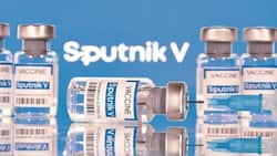 कोरोना के सभी नई स्ट्रेन के खिलाफ कारगर है स्पूतनिक लाइट वैक्सीन