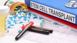 Stem cell transplant can save life of a blood cancer patient: Become a donor and save lives