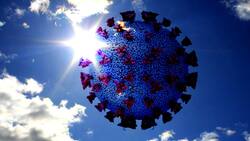 Exposure to sunlight may lower the risk of Covid deaths – And vitamin D levels has little to with it